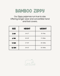 POOH FRAMES ZIPPY (READY TO SHIP)