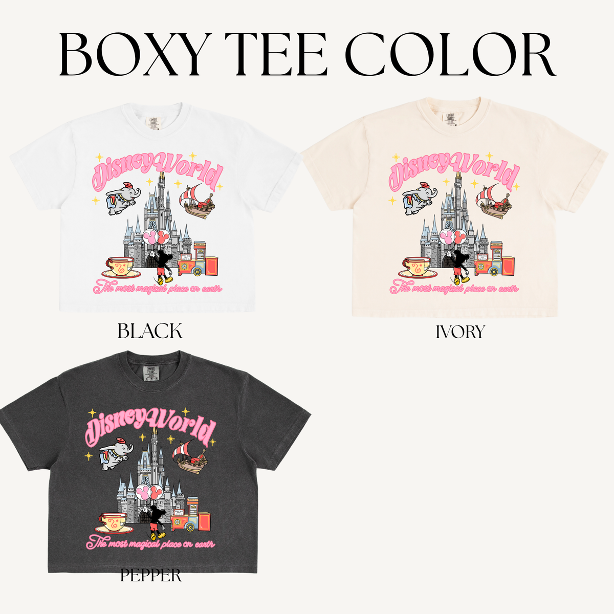 WORLD CASTLE ADULT BOXY T-SHIRT