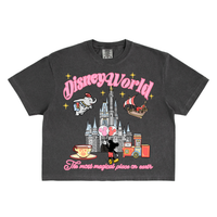 WORLD CASTLE ADULT BOXY T-SHIRT
